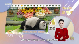 久久久久久久精品女人毛片